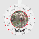 Search for best dog dad ornaments Red