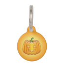 Search for pumpkin pet tags Cute