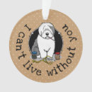Search for veterinarian ornaments Dog
