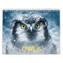 Search for animals calendars forest