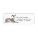 Search for greyhound return address labels Dog