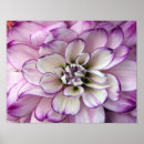 Search for 14x11 posters White