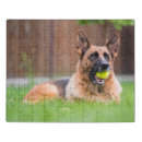 Search for tennis puzzles Dog