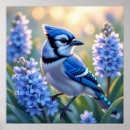 Search for bird lover gifts Nature