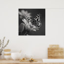 Search for butterfly posters Elegant