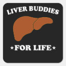 Search for liver transplant crafts party Survivor