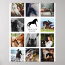 Search for horse posters Pony