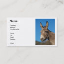 Search for animal rescue business cards Boarding