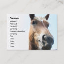 Search for rope business cards Cowgirl