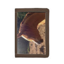 Search for horse wallets Head