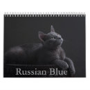 Search for russian gifts Kitten