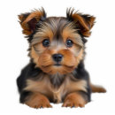 Search for photo statuettes Create your own