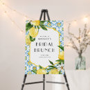 Search for lemon decor Bridal brunch