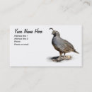 Search for california business cards Bird