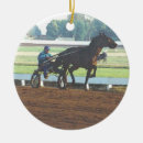 Search for standardbred horse Equine