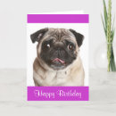 Search for pug birthday cards Dog