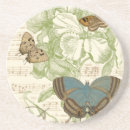 Search for butterfly photo album Floral