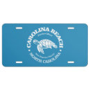 Search for turtle license plates Beach