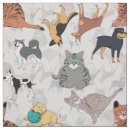 Search for cute fabric Cat