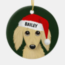 Search for cream dachshund Wiener dog