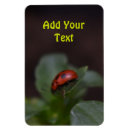Search for ladybug magnets Beetle