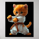 Search for jiu jitsu posters Daniel larusso