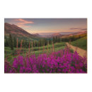 Search for landscape wood wall art rocky mountains