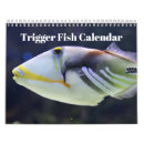 Search for fish calendars 2026