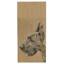 Search for dog usb flash drives Cute