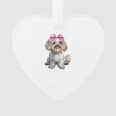 Search for havanese ornaments Animal
