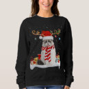 Search for ragdoll cat gifts Funny