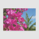 Search for palm tree tissue paper Pink