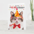 Search for calico cat birthday cards Pets