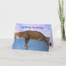 Search for pet rescue cards Cats