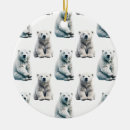 Search for polar bears ornaments Arctic