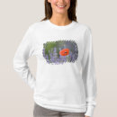 Search for bee tshirts Poppy