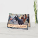 Search for photography thank you cards Funny