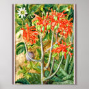 Search for botanical illustration posters Flowers