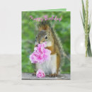 Search for funny squirrel birthday cards Squirrels