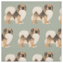 Search for tibetan spaniel Dog