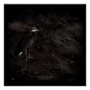 Search for great blue heron gifts Feathers
