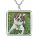 Search for pet necklaces Unique