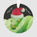 Search for snake ornaments Cute
