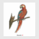 Search for parrot stickers Vintage