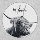 Search for cow patches Cattle