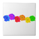 Search for rainbow tiles Diversity