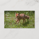 Search for fox business cards Wild animals
