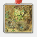 Search for birds nest ornaments Nature