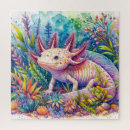 Search for axolotls puzzles Salamander