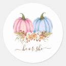 Search for fall gender reveal Pumpkin baby shower